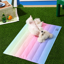 Small dog relaxing on the rainbow summer cooling mat