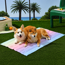 Two medium dogs sharing the large rainbow cooling mat
