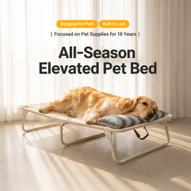 All-season foldable elevated dog bed with supportive striped bolster