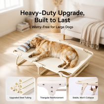 Raised cot promotes airflow beneath a resting dog