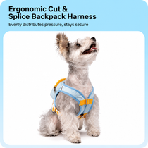 Breathable padded harness wraps comfortably around a small dog