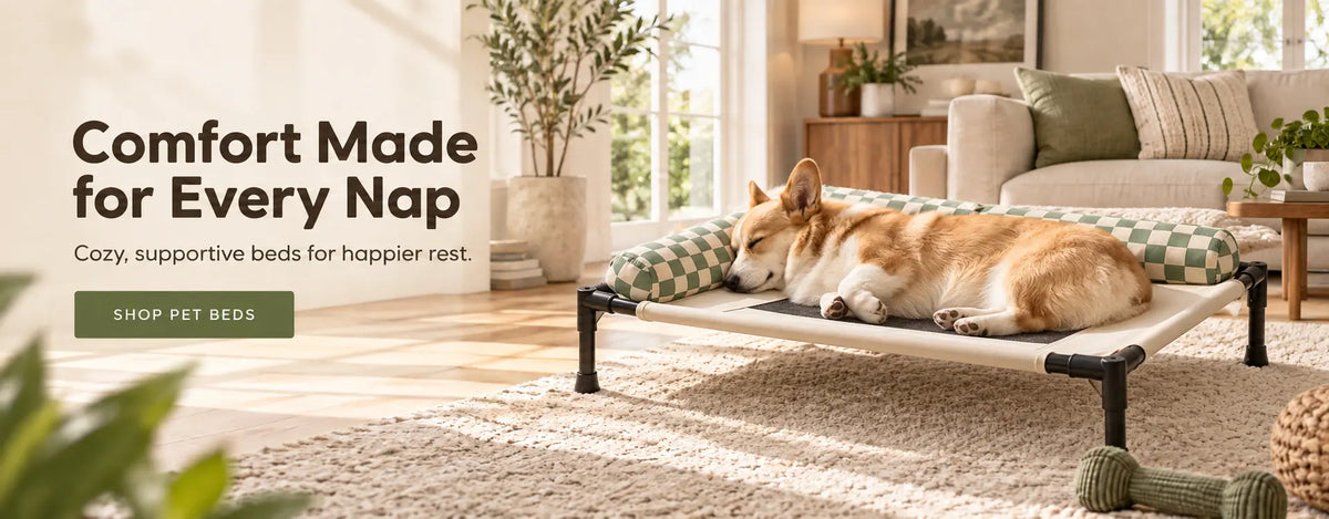 CozoraLiving elevated cooling pet bed banner