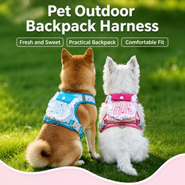Polyester Dog Harness and Leash Set for Everyday Walks