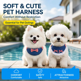 Small and Medium Dog Harness with 4.9 ft Leash