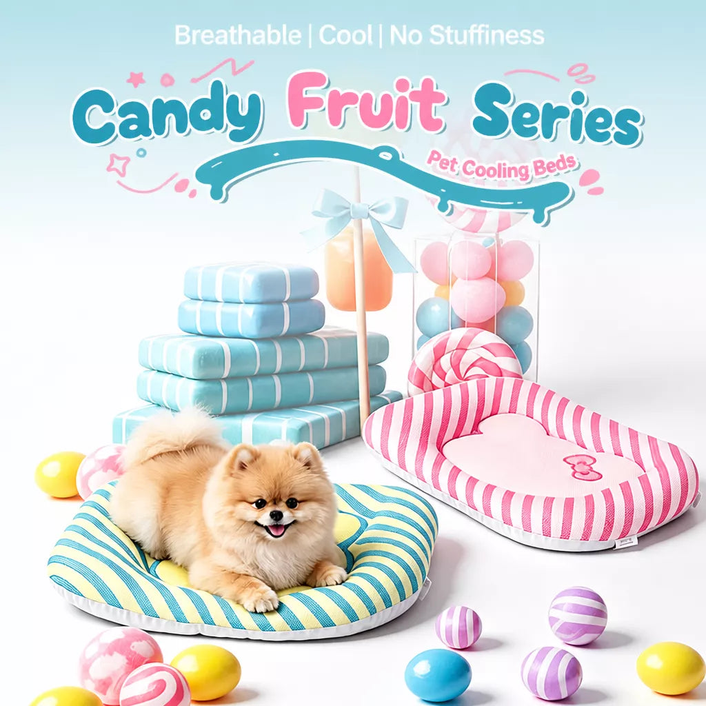 Removable Washable All-Season Pet Bed for Cats & Dogs