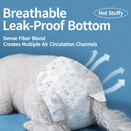 Disposable Dog Diapers for Male and Female Dogs