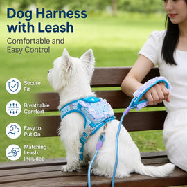 Polyester Dog Harness and Leash Set for Everyday Walks