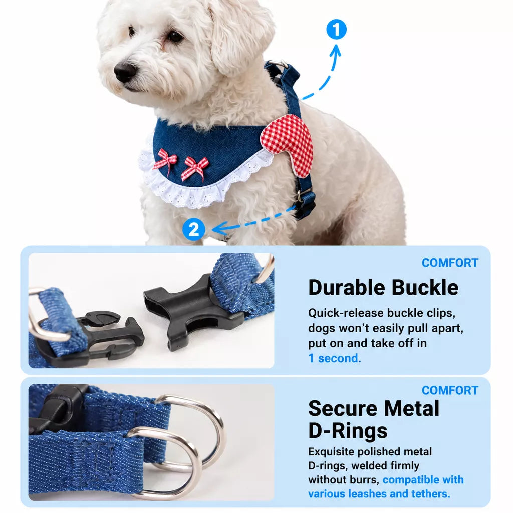 Small and Medium Dog Harness with 4.9 ft Leash