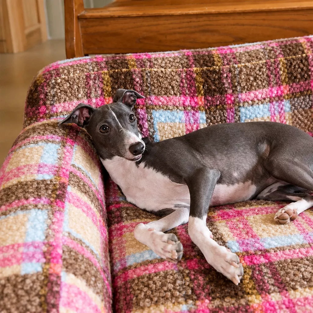 Vintage-Style Plush Sofa Bed for Dogs and Cats