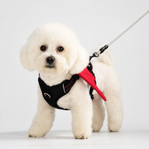 Breathable Demon & Angel Wing Dog Harness with Optional Leash