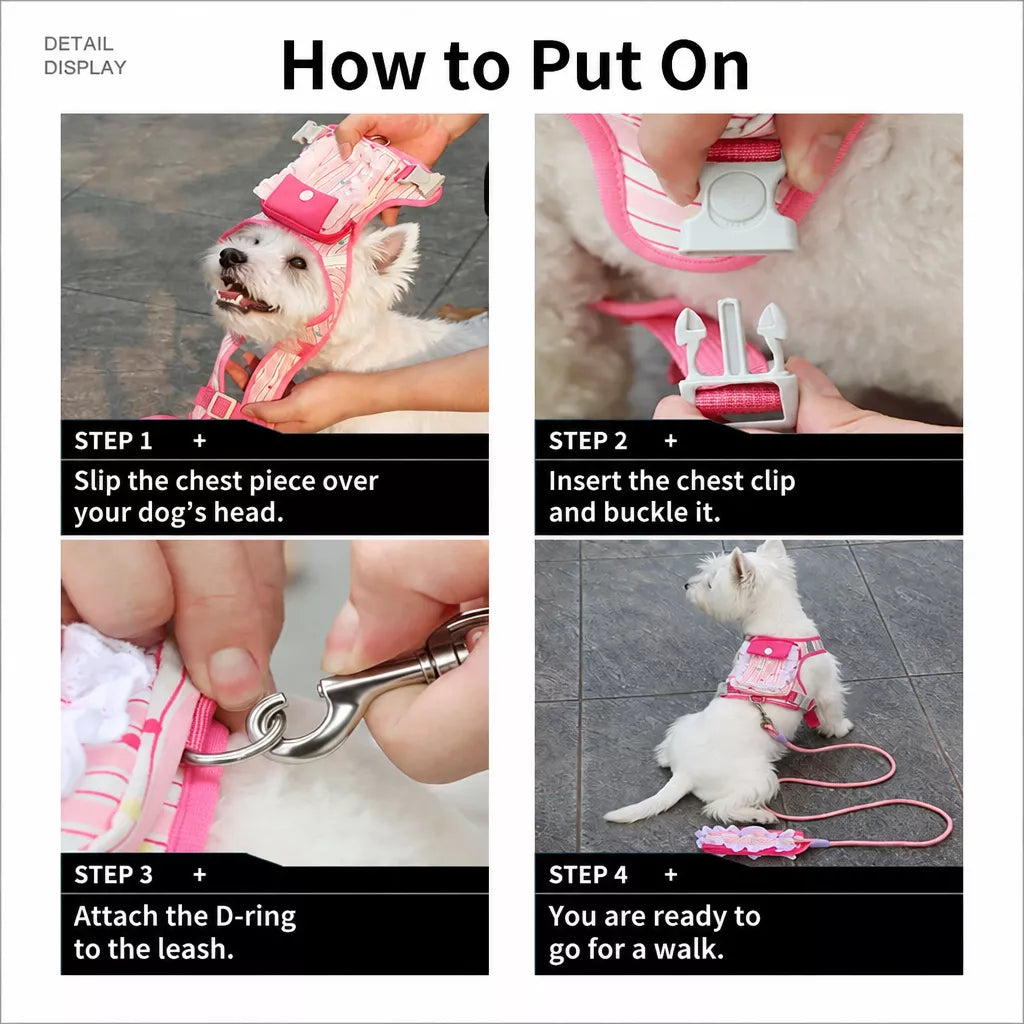 Polyester Dog Harness and Leash Set for Everyday Walks