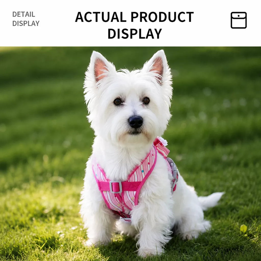 Polyester Dog Harness and Leash Set for Everyday Walks