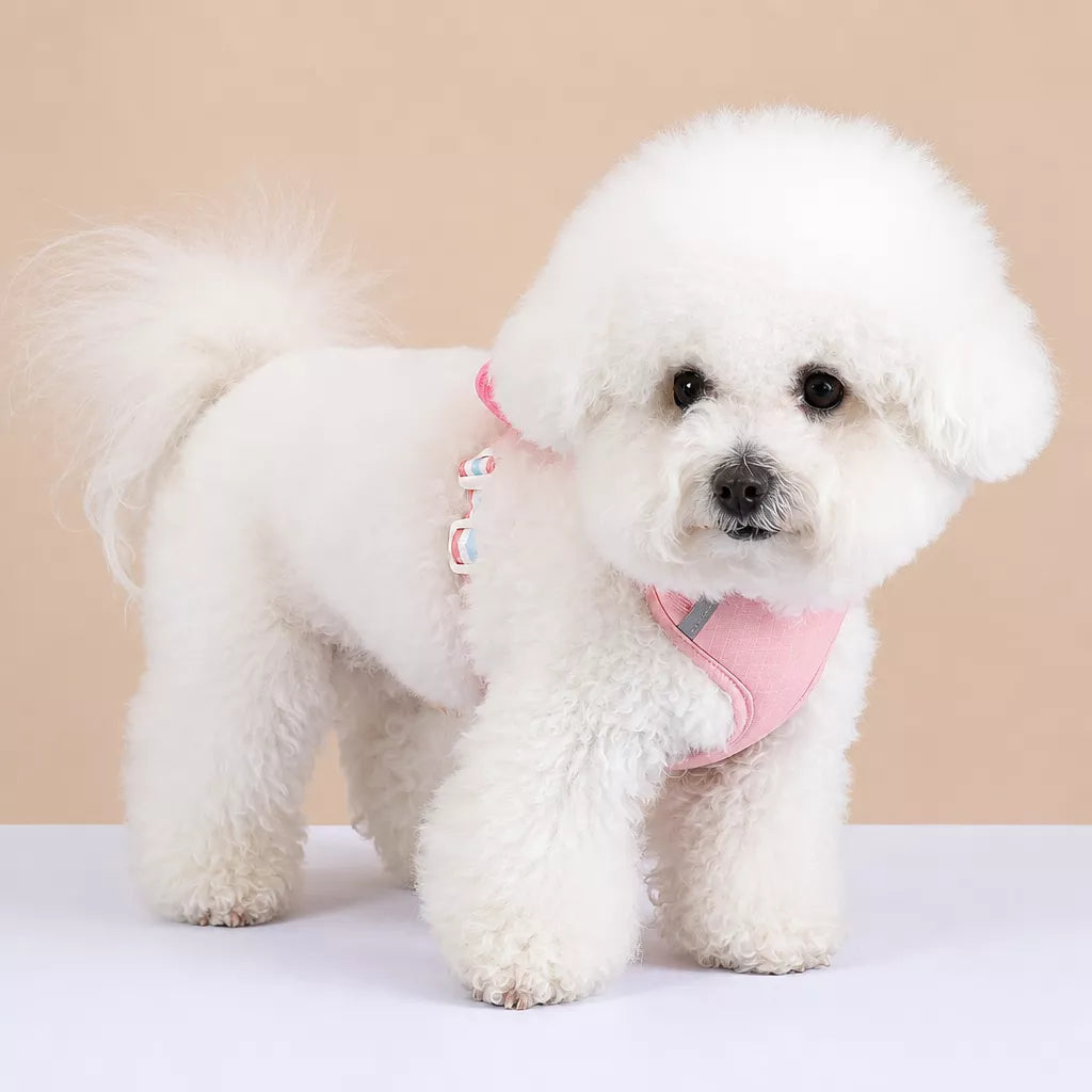 Bow Tie Vest-Style Dog Harness and Leash for Small Dogs