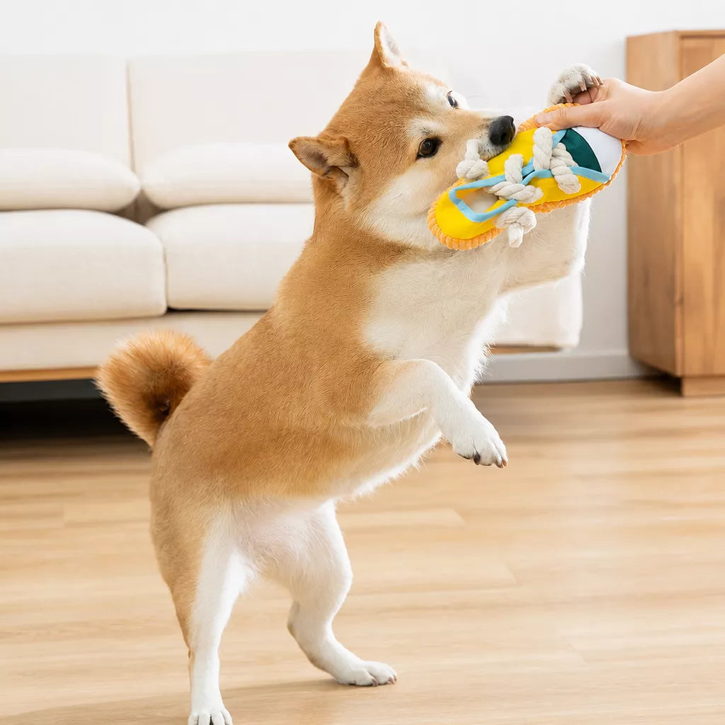 Squeaky Slipper Dog Toy for Small Dogs