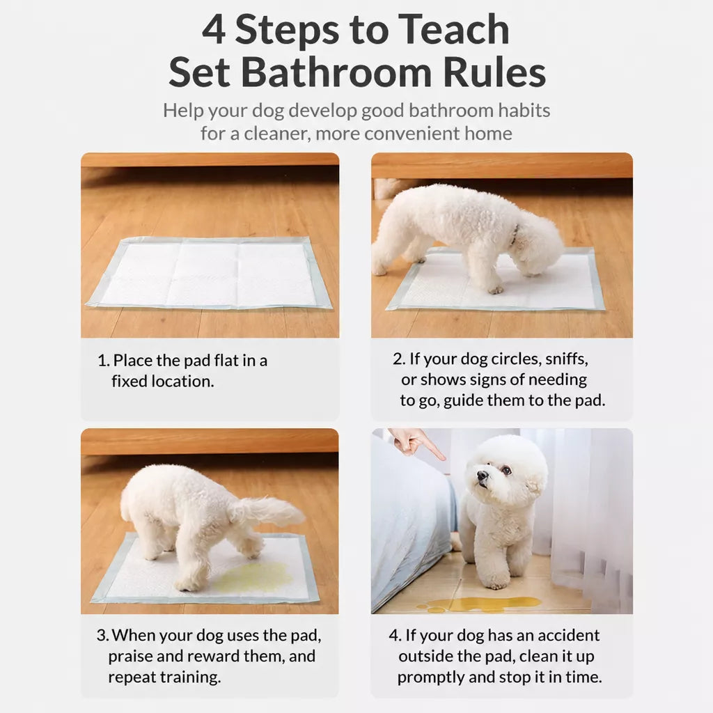 Thick Absorbent Pet Potty Training Pads for Dogs, Cats & Rabbits