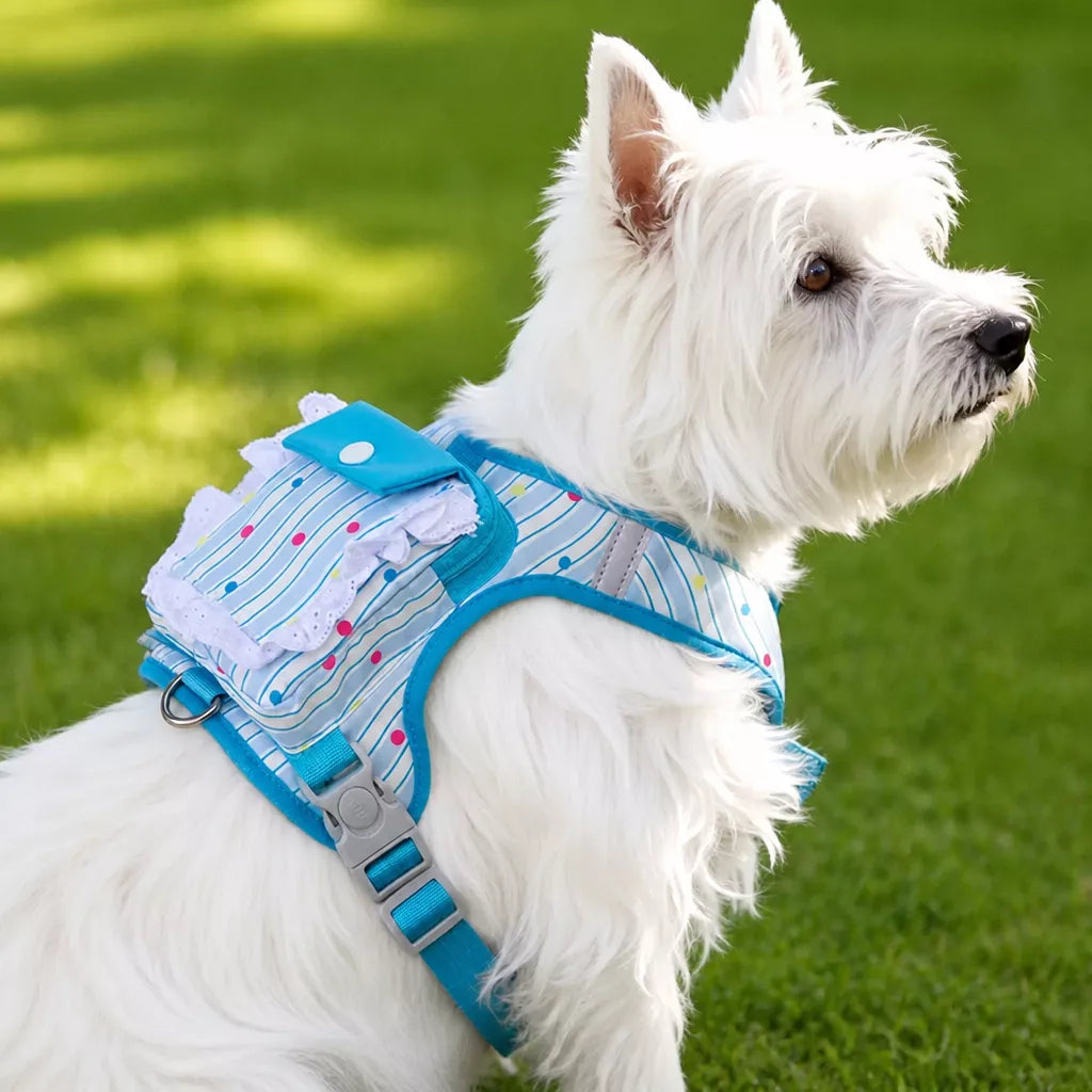 Polyester Dog Harness and Leash Set for Everyday Walks