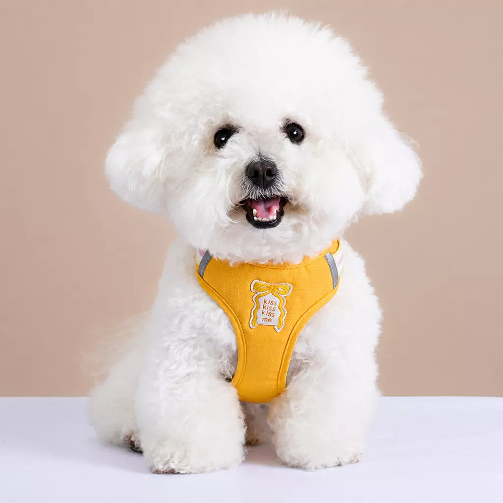 Bow Tie Vest-Style Dog Harness and Leash for Small Dogs