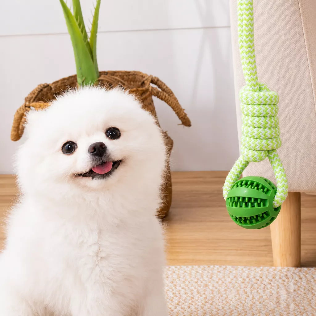 Rope Dog Tug Toy with Treat-Dispensing Ball for Medium and Large Dogs