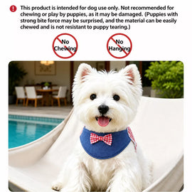 Small and Medium Dog Harness with 4.9 ft Leash