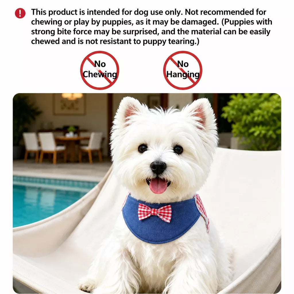 Small and Medium Dog Harness with 4.9 ft Leash