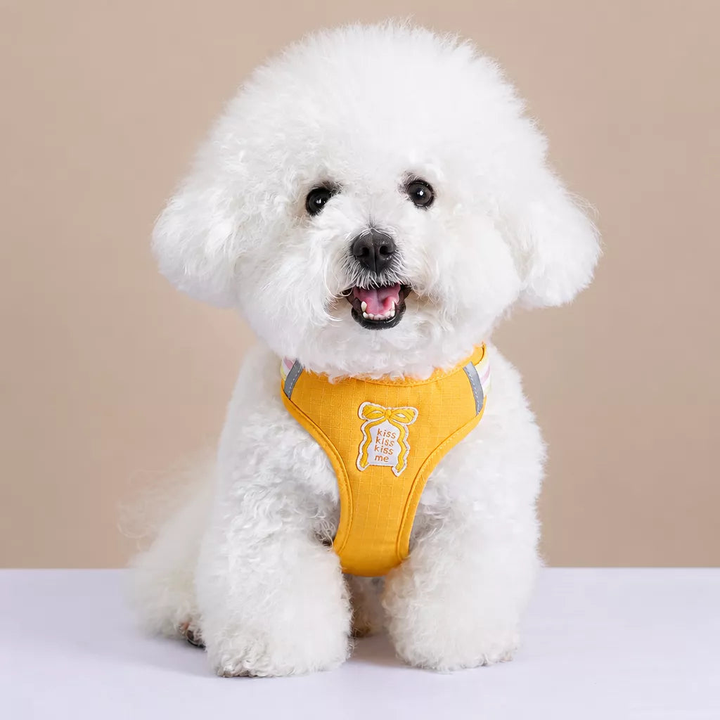 Bow Tie Vest-Style Dog Harness and Leash for Small Dogs