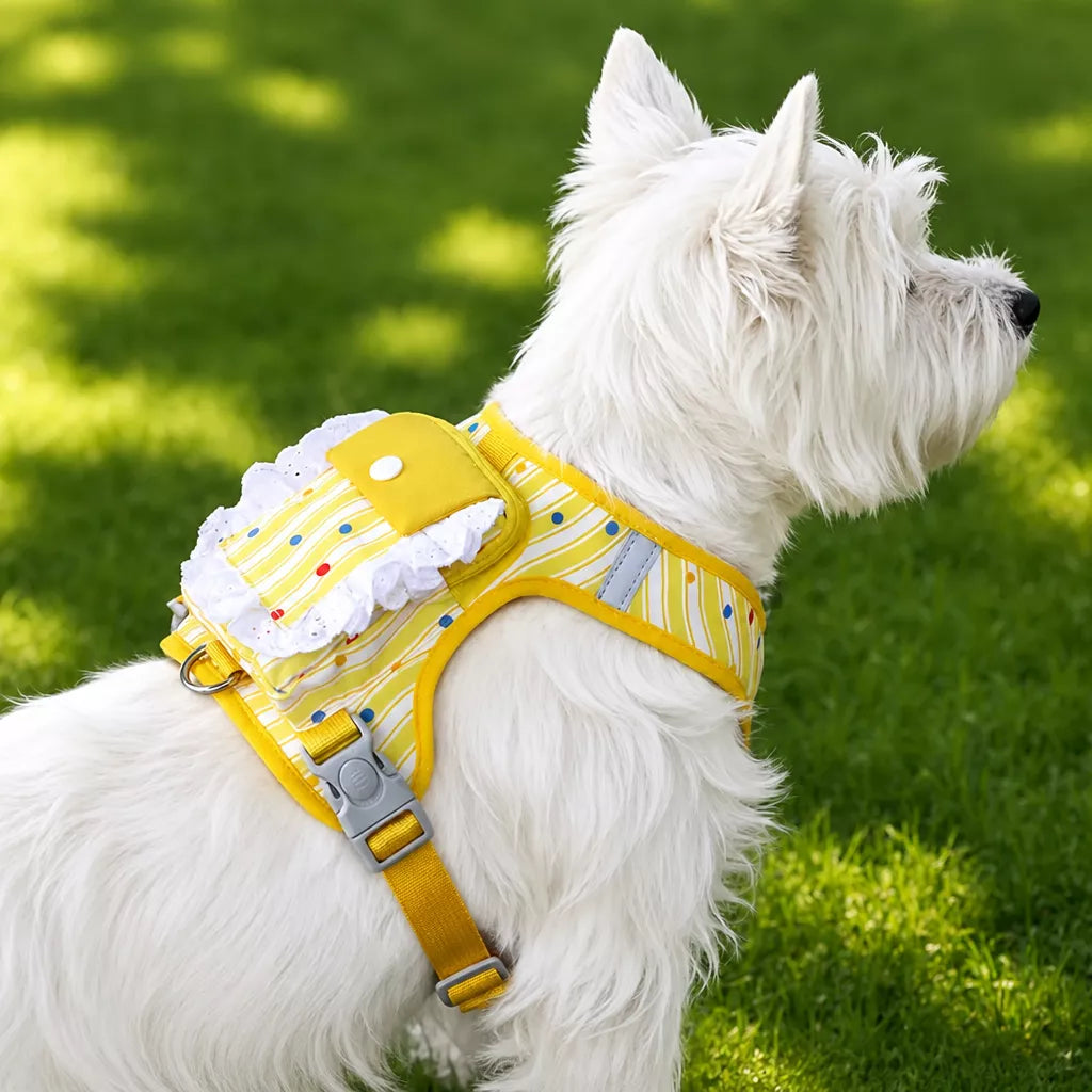Polyester Dog Harness and Leash Set for Everyday Walks