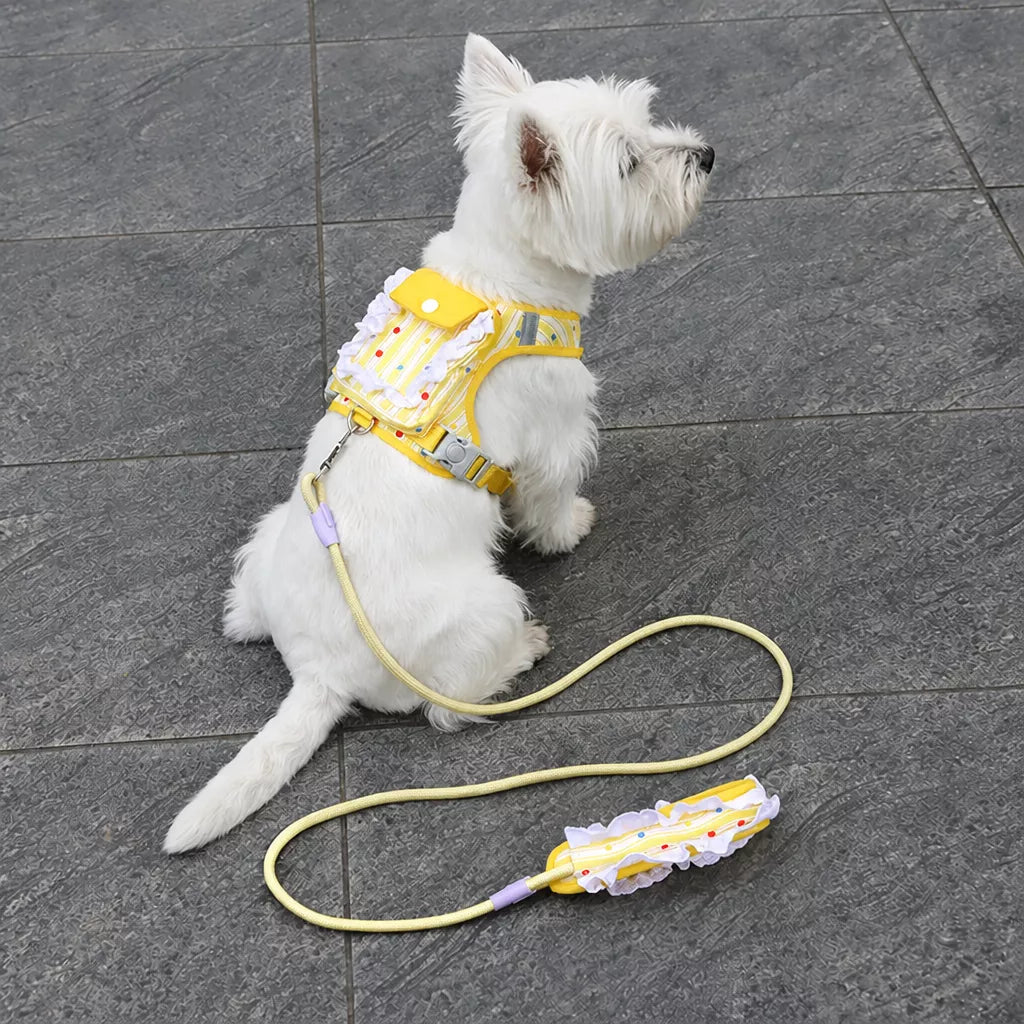 Polyester Dog Harness and Leash Set for Everyday Walks