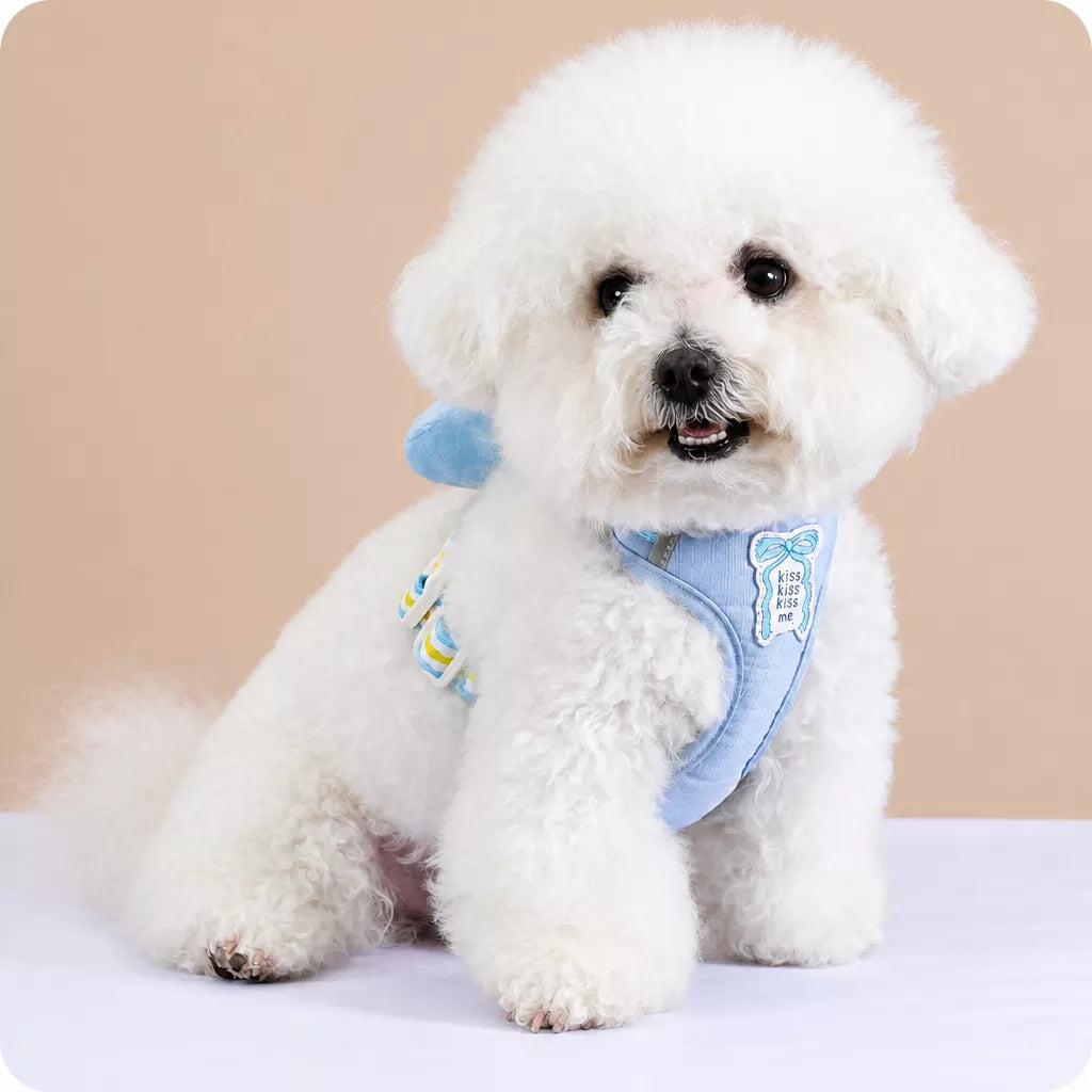 Bow Tie Vest-Style Dog Harness and Leash for Small Dogs