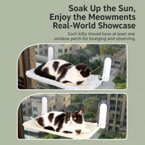 Cat Window Hammock with Suction Cups