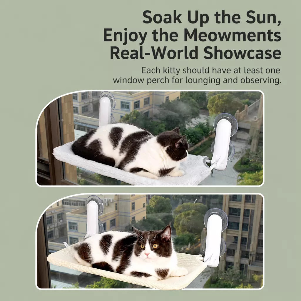 Cat Window Hammock with Suction Cups