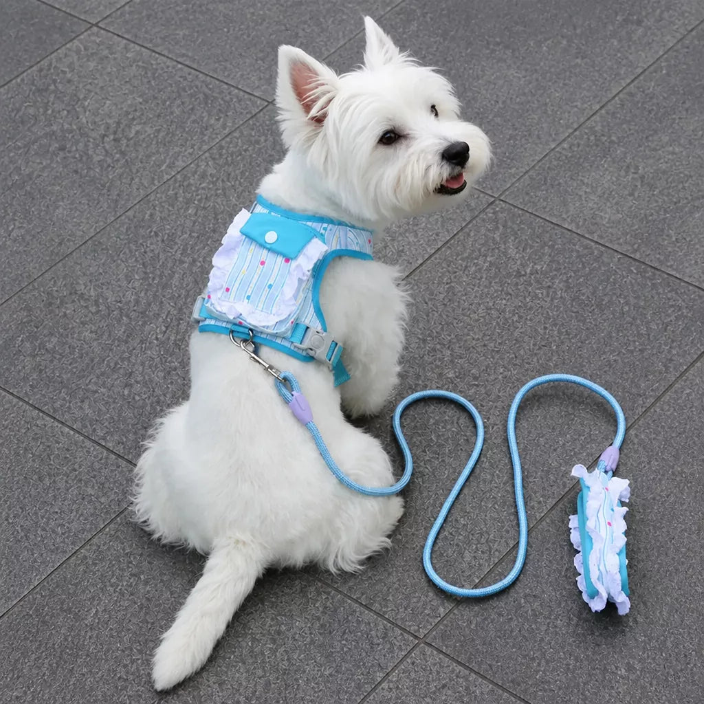 Polyester Dog Harness and Leash Set for Everyday Walks