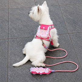Polyester Dog Harness and Leash Set for Everyday Walks