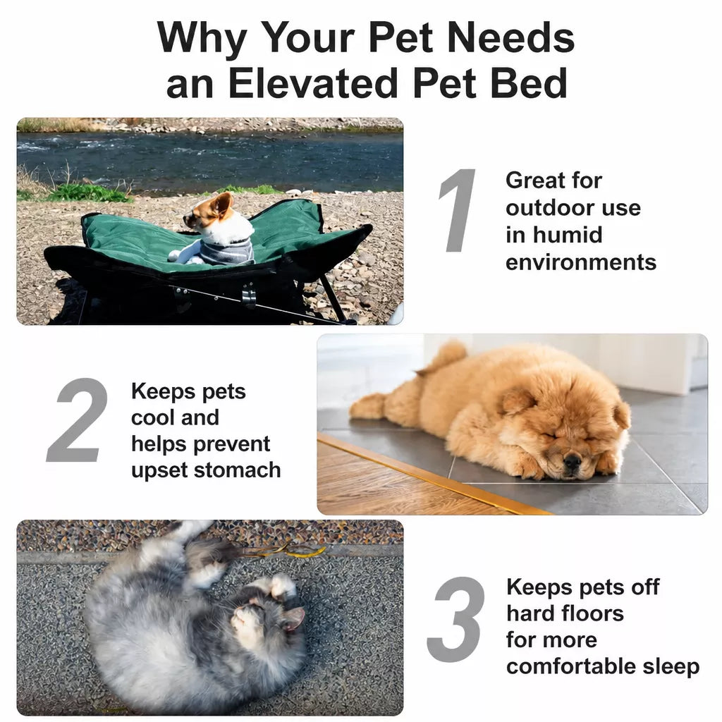 Foldable Outdoor Pet Camping Bed