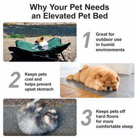 Foldable Outdoor Pet Camping Bed