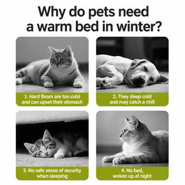 Semi-Enclosed Cat & Dog Bed with Removable Washable Cover