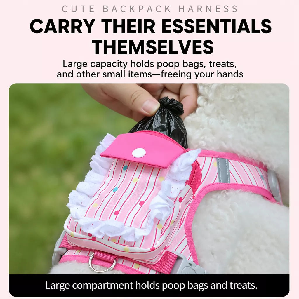 Polyester Dog Harness and Leash Set for Everyday Walks