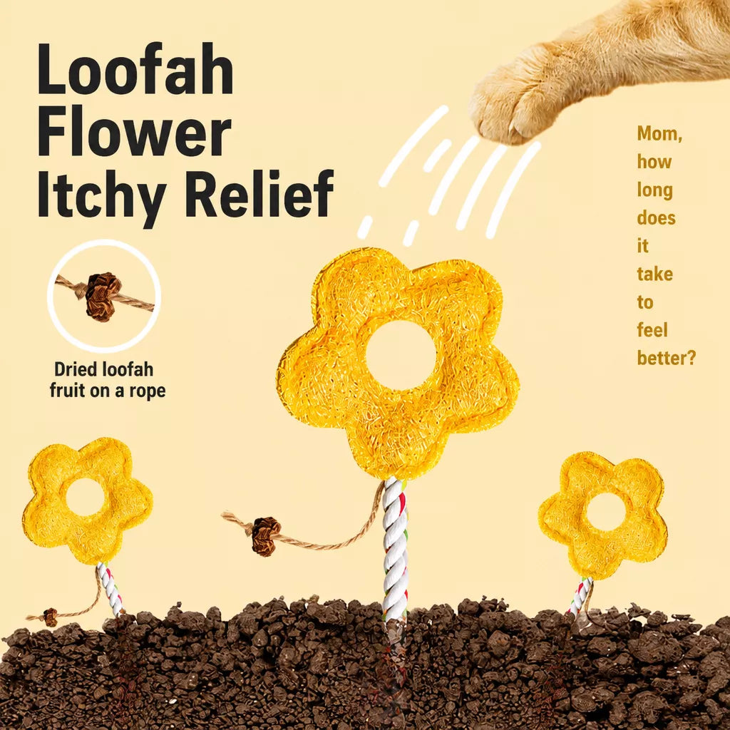 Loofah Cat Toy with Catnip