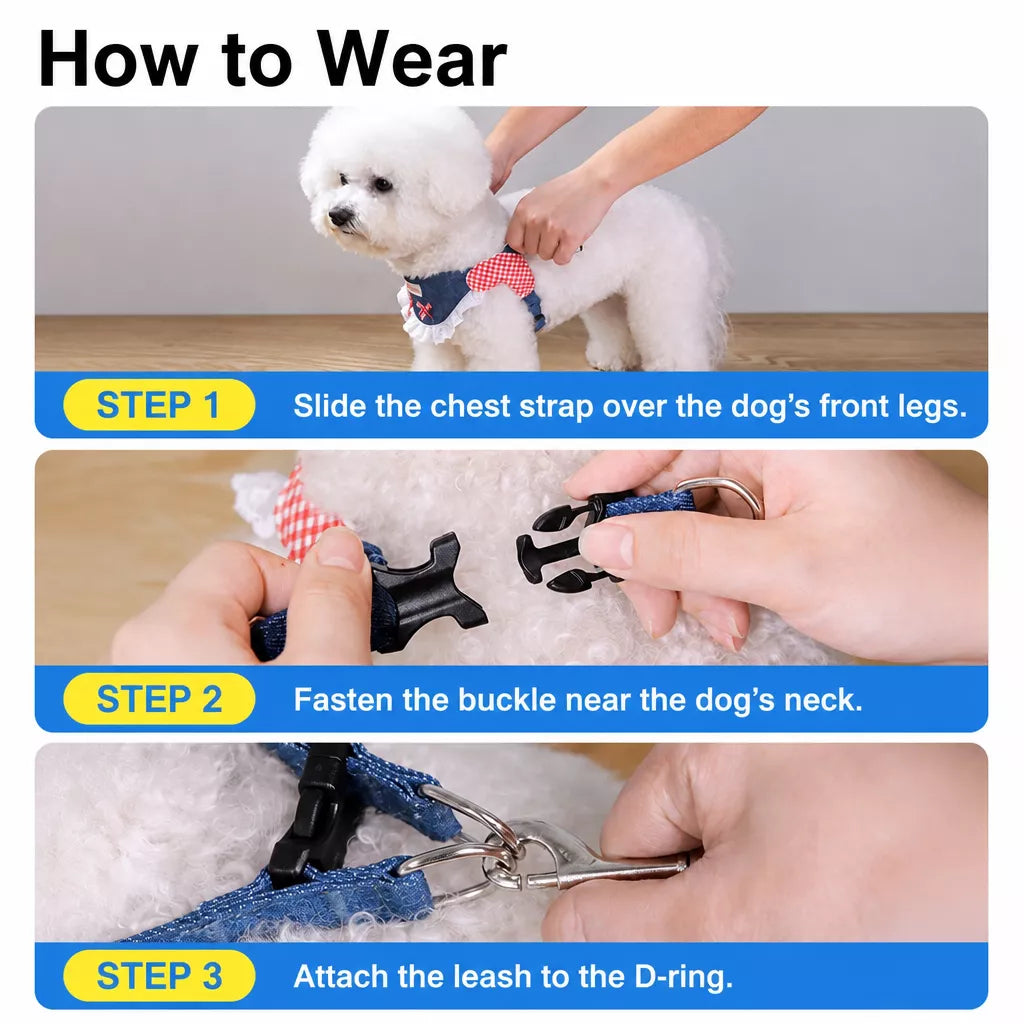 Small and Medium Dog Harness with 4.9 ft Leash