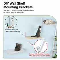 Cat Window Hammock with Suction Cups