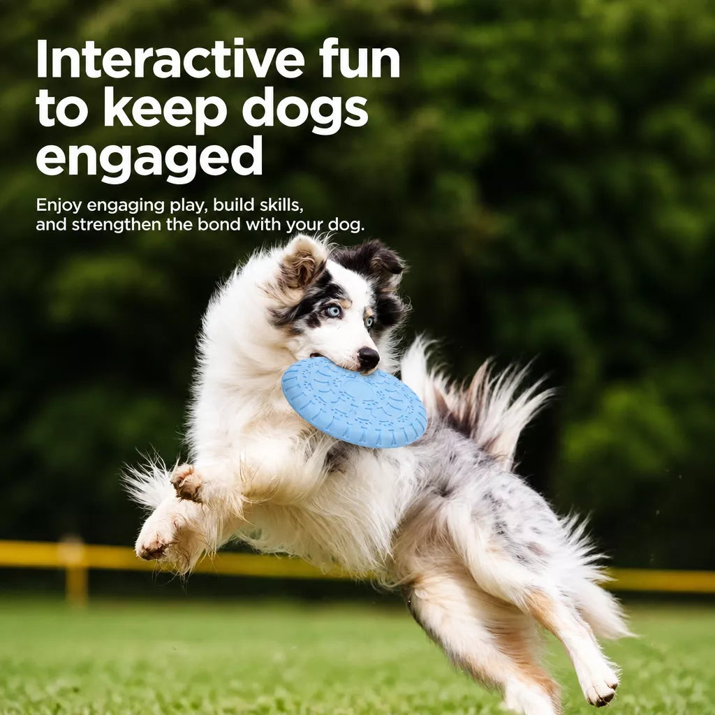 Soft TPR Disc Dog Toy for Outdoor Training
