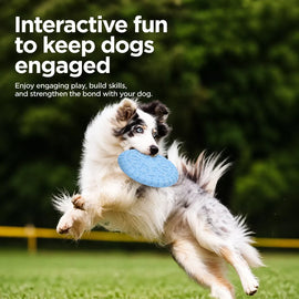 Soft TPR Disc Dog Toy for Outdoor Training