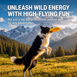 Dog Flying Disc and Tug Toy for Medium and Large Dogs