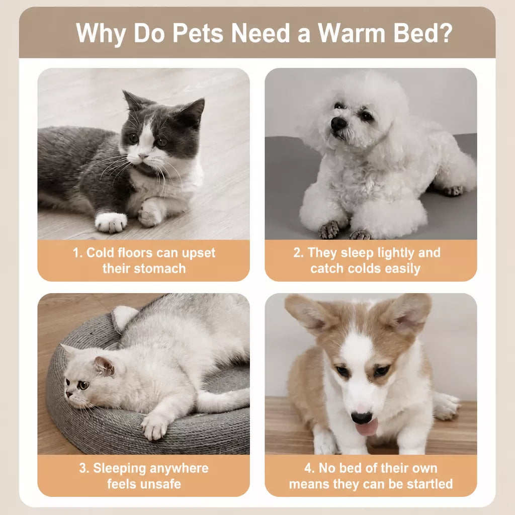 Waterproof Enclosed Dog & Cat Bed with Removable Cover