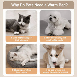 Waterproof Enclosed Dog & Cat Bed with Removable Cover
