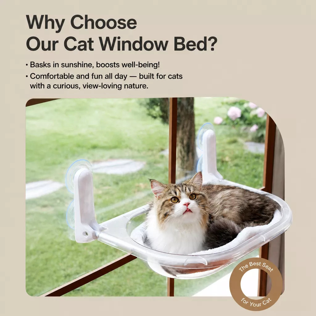 Transparent Foldable Cat Window Bed