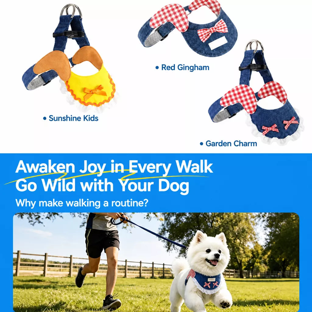 Small and Medium Dog Harness with 4.9 ft Leash