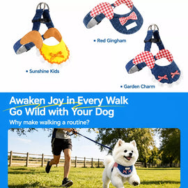 Small and Medium Dog Harness with 4.9 ft Leash