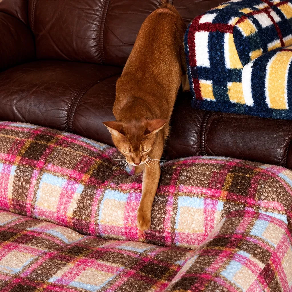 Vintage-Style Plush Sofa Bed for Dogs and Cats