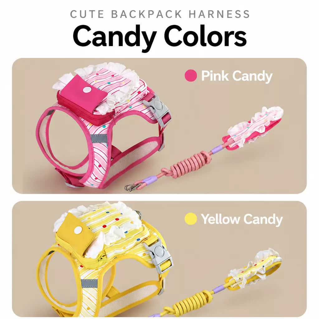 Polyester Dog Harness and Leash Set for Everyday Walks