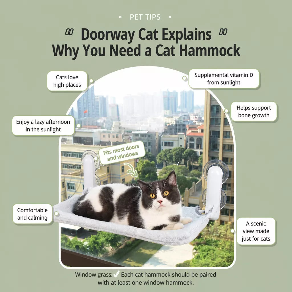 Cat Window Hammock with Suction Cups